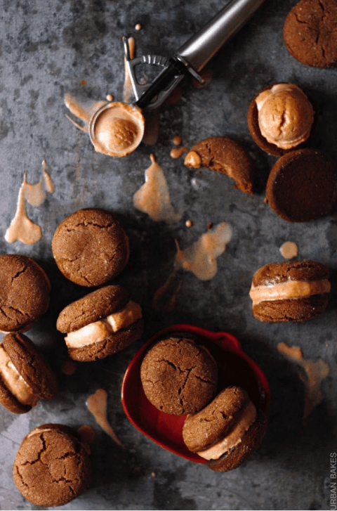 รูปภาพ:http://ghk.h-cdn.co/assets/16/24/480x727/gallery-1466088660-gingersnap-pumpkin-ice-cream-sandwiches.png