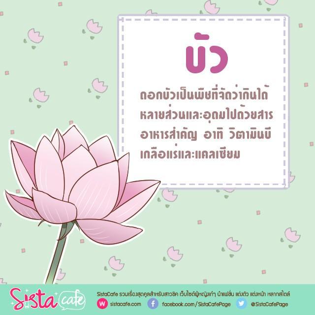 รูปภาพ: