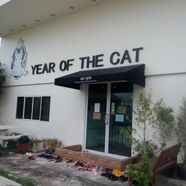 ตัวอย่าง ภาพหน้าปก:พาเที่ยว Year of the Cat Cafe คาเฟ่แมวเหมียวแห่งฝั่งธนฯ ที่ทาสแมวทั้งหลายห้ามพลาด