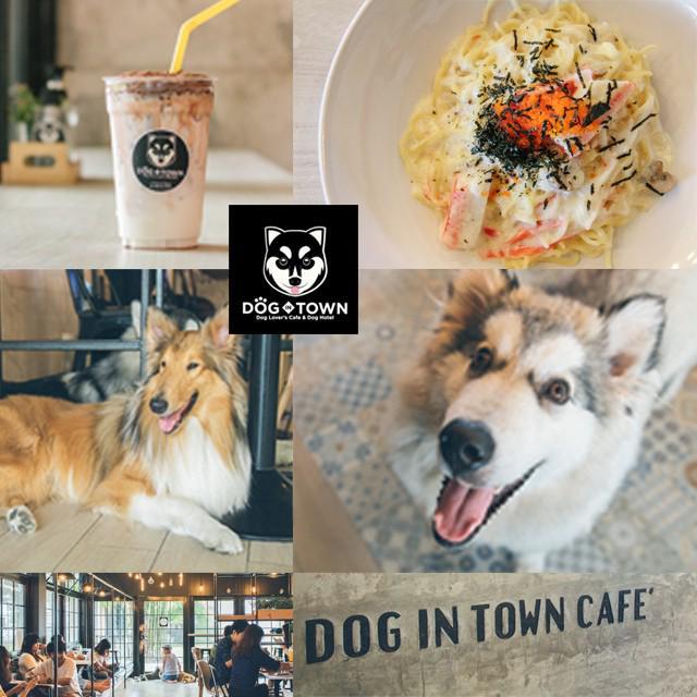 ภาพประกอบบทความ นั่งรถไฟฟ้ามาหามะหมาที่คาเฟ่ Dog in town ร้านกาแฟ เอกมัย ซ.6 (สุขุมวิท 63) 