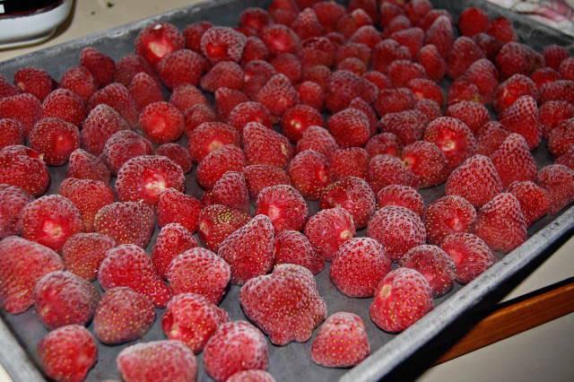 รูปภาพ:http://www.thenutritionpost.com/wp-content/uploads/2012/08/freezing_strawberries.jpg
