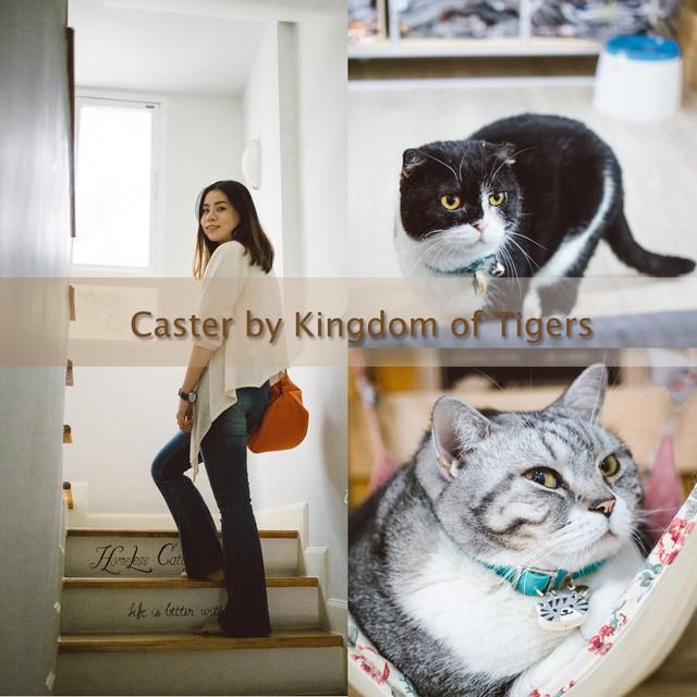 ตัวอย่าง ภาพหน้าปก:เรื่องแมว ๆ ที่ Catser by Kingdom of Tiger ดินแดนของน้องเหมียวย่านพระประแดง