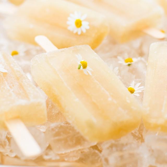 ภาพประกอบบทความ Honey Chamomile Popsicles ไอติมแท่งหวานเย็นสูตรเด็ด ผสมน้ำผึ้งและดอกคาโมมายล์