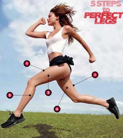 รูปภาพ:http://www.superskinnyme.com/blog/wp-content/uploads/2012/02/best-leg-exercises.jpg