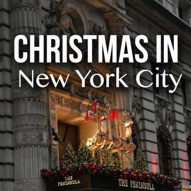 ภาพประกอบบทความ ฟินๆ ไปค่ะ กับ '6 สิ่งที่ควรทำเมื่อไปเที่ยว New York' ในช่วงเทศกาลคริสต์มาส 🔔