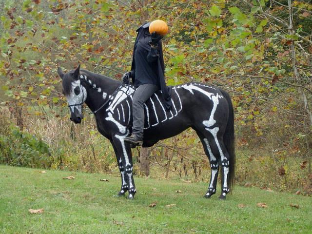 รูปภาพ:https://twistedsifter.files.wordpress.com/2013/10/skeleton-painted-horse-halloween-3.jpg?w=800&h=600