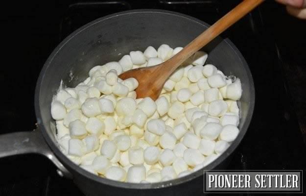 รูปภาพ:http://pioneersettler.com/wp-content/uploads/2014/06/How-to-make-rice-krispie-treats11.jpg