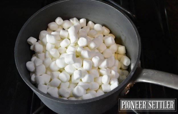 รูปภาพ:http://pioneersettler.com/wp-content/uploads/2014/06/How-to-make-rice-krispie-treats09.jpg