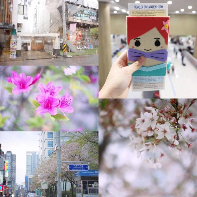 ภาพประกอบบทความ Spring in Seoul ตะลอนเที่ยว 'โซล' ด้วยตัวเองง่ายๆ เต็มอิ่ม 6 วัน 5 คืน [Part 1] 