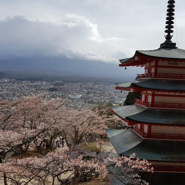 ภาพประกอบบทความ เล่าสู่กันฟัง! ข้อดี/ข้อเสียของการไป 'เที่ยวญี่ปุ่นกับแก๊งเพื่อน' แบบไม่ง้อทัวร์