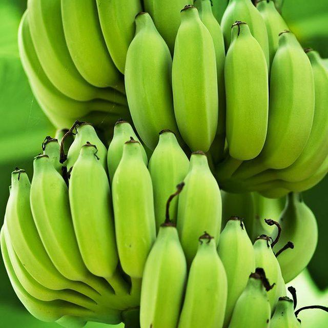 ภาพประกอบบทความ 8 ประโยชน์สุดล้ำของการกิน 'กล้วยดิบ' #ไม่ต้องรอให้สุกก็ได้นะ