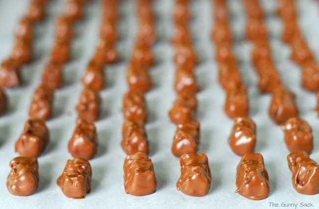 รูปภาพ:https://www.thegunnysack.com/wp-content/uploads/2013/06/Chocolate_Covered_Gummy_Bears_Recipe.jpg
