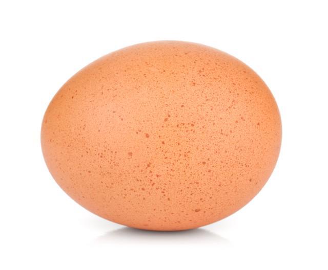 รูปภาพ:https://www.thermofisher.com/blog/food/wp-content/uploads/sites/5/2015/07/single_chicken_egg_isolated_on_a_white_background.jpg