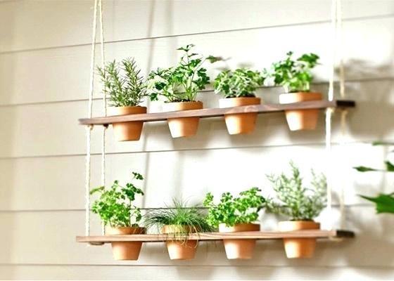 รูปภาพ:http://apkfast.club/wp-content/uploads/2017/11/kitchen-garden-planter-herb-garden-containers-kitchen-herb-garden-planter-herb-garden-containers-kitchen-herb-garden-windowsill-planter-with-seeds.jpg