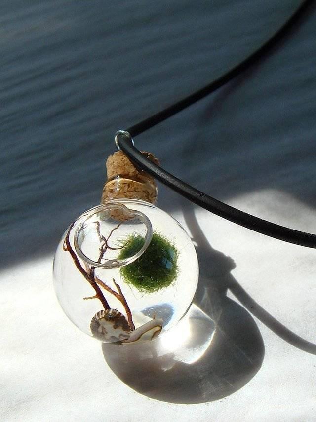 รูปภาพ:https://inspirely.com/orb-marimo-moss-ball-mini-terrarium-necklace-img-3b5-704x941.jpg