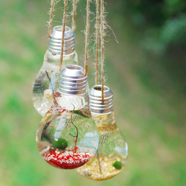 รูปภาพ:http://cdn.notonthehighstreet.com/system/product_images/images/002/121/151/original_light-bulb-hanging-marimo-moss-ball-terrariums.jpg