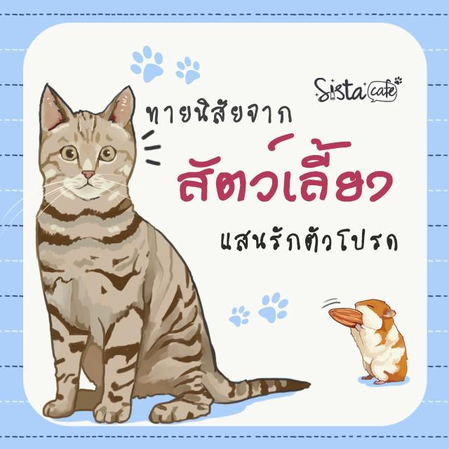 ภาพประกอบบทความ ทายนิสัยจาก สัตว์เลี้ยงแสนรักตัวโปรด