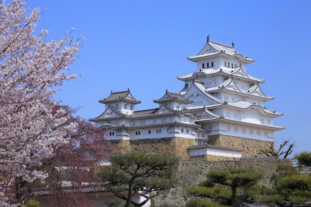 รูปภาพ:http://cdn.touropia.com/gfx/d/largest-castles-in-the-world/himeji_castle.jpg?v=1