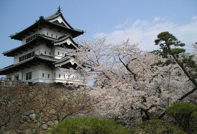 รูปภาพ:http://cdn.touropia.com/gfx/d/castles-in-japan/hirosaki_castle.jpg?v=9e01444b724e7423629b28bafc2ebe00