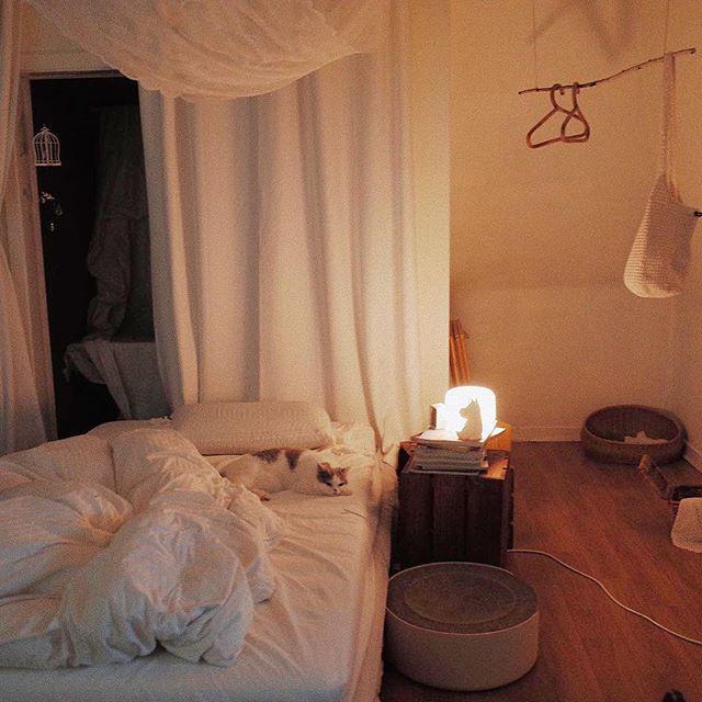 รูปภาพ:https://www.instagram.com/p/Bm3VjOoBbHS/?taken-by=oneroom.make