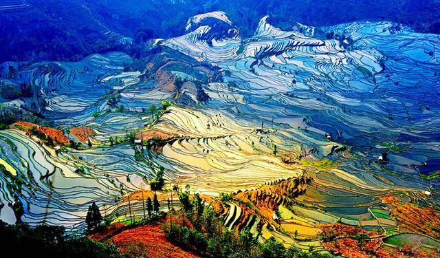 รูปภาพ:https://www.chinadiscovery.com/assets/images/articles/china-rice-terraces/yuanyang-rice-terrace-821.jpg