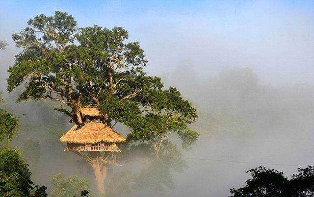 รูปภาพ:https://livingnomads.com/wp-content/uploads/2016/08/8-bokeo-nature-reserve-ban-houayxay-bokeo-province-laos-tourist-attractions-photos-things-to-do-getting-there-gibbon-experience-16.jpg