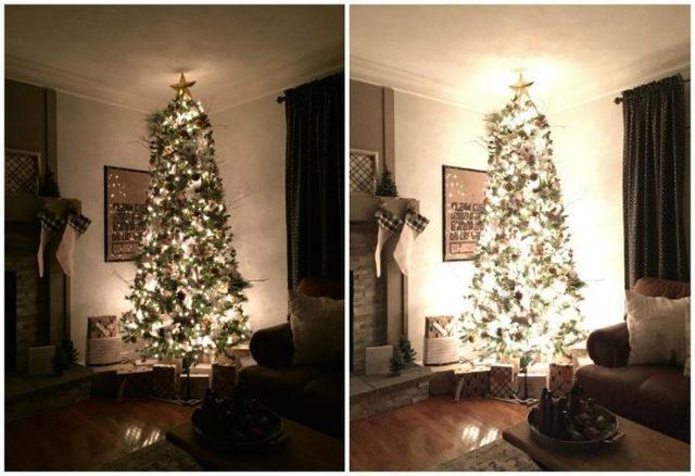 รูปภาพ:https://athomewiththebarkers.com/wp-content/uploads/2016/12/Christmas-Tree-Nights-Tour-700x479.jpg