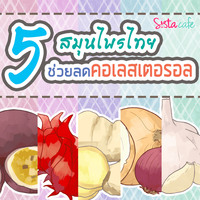 ภาพประกอบบทความ 5 สมุนไพรไทย ช่วยลดคอเลสเตอรอล