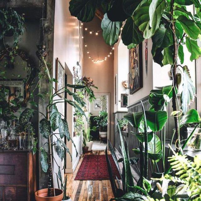 ภาพประกอบบทความ มาสูดอากาศให้ฉ่ำปอด! กับไอเดีย 'เพิ่มพื้นที่สีเขียวในบ้าน' จัดห้องแบบนี้ สดชื่น So Fresh ชัวร์