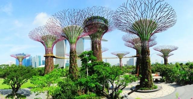 รูปภาพ:https://www.mushroomtravel.com/page/wp-content/uploads/2016/02/gardens-bay-singapore1-768x393.jpg