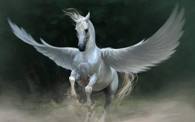 รูปภาพ:https://wallpaperscraft.com/image/pegasus_horse_wings_63059_3840x2400.jpg