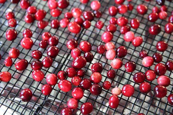 รูปภาพ:http://www.ourbestbites.com/wp-content/uploads/2014/11/Our-Best-Bites-Cranberries-on-Drying-Rack.jpg