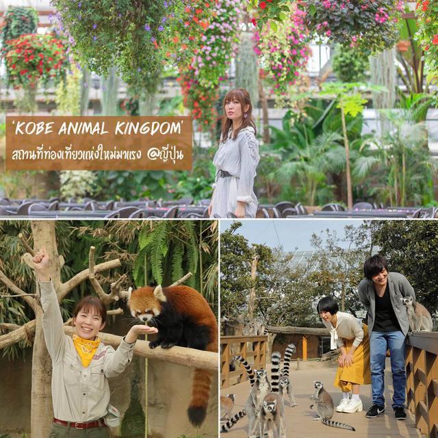 ตัวอย่าง ภาพหน้าปก:'Kobe Animal Kingdom' สวนพฤกษศาสตร์ × สวนสัตว์ ที่เที่ยวแห่งใหม่มาแรง มีเพียงไม่กี่แห่งในญี่ปุ่น!