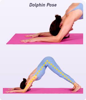 รูปภาพ:http://www.yogaoutlet.com/userfiles/Guide/image/Yoga/Yoga_DolphinPose_01_300x350.jpg