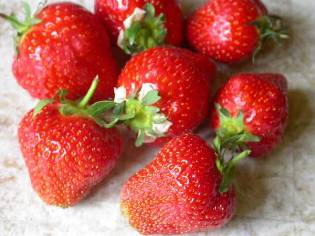 รูปภาพ:http://www.harleynursery.co.uk/Fruit/bushes/Fruit%20Bush%20Picture/Strawberry%20Elsanta.JPG