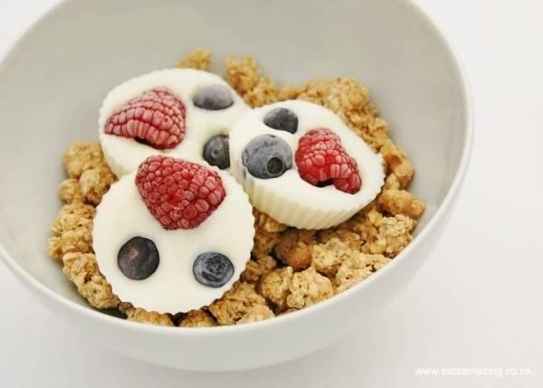 รูปภาพ:http://www.eatsamazing.co.uk/wp-content/uploads/2015/01/Frozen-Fruity-Yoghurt-Bites-Healthy-kids-breakfast-idea-from-Eats-Amazing-UK-with-free-recipe-sheet-for-cooking-with-kids.jpg