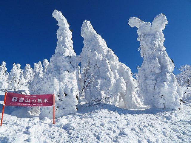 รูปภาพ:https://upload.wikimedia.org/wikipedia/commons/thumb/6/6b/Snow_Monster_of_Mount_Moriyoshi_01.jpg/800px-Snow_Monster_of_Mount_Moriyoshi_01.jpg