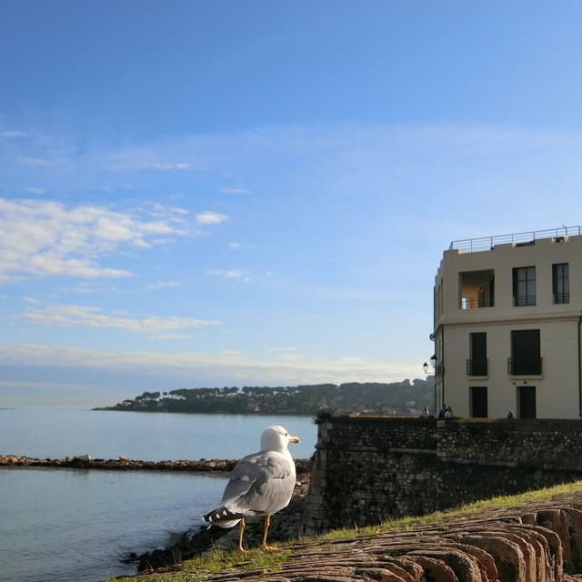 ตัวอย่าง ภาพหน้าปก:ปักหมุดเที่ยวยุโรป! พาสาวๆ เที่ยวเมือง Antibes ประเทศฝรั่งเศส ชายหาดเงียบสงบ เหมาะกับคนรักทะเล