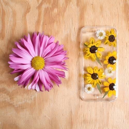 รูปภาพ:http://pakmagazine.com/wp-content/uploads/2016/03/real-flower-iphone-cases-house-of-blings-4-1-435x453.jpg