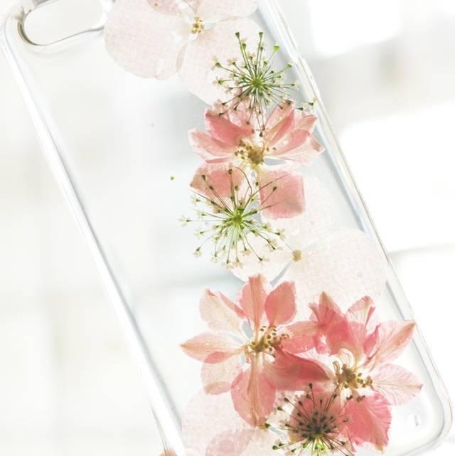 รูปภาพ:http://pakmagazine.com/wp-content/uploads/2016/03/real-flower-iphone-cases-house-of-blings-7-1.jpg