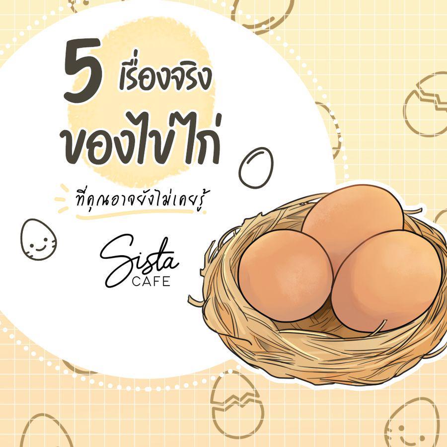 ภาพประกอบบทความ 5 เรื่องจริง ของไข่ไก่ ที่คุณอาจยังไม่เคยรู้