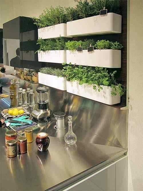รูปภาพ:http://394822569.r.lightningbase-cdn.com/wp-content/uploads/2015/06/Wall-Mounted-Vertical-Herb-Garden-in-the-Kitchen.jpg