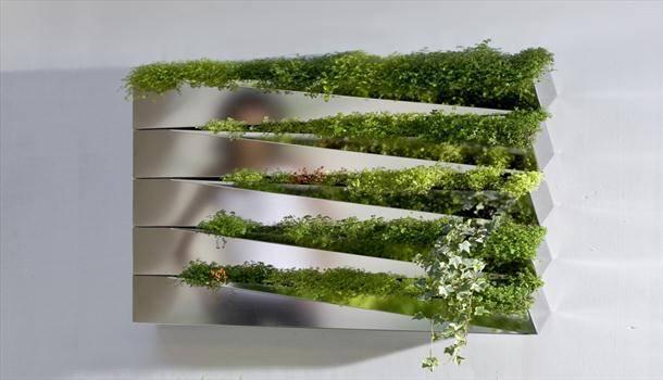รูปภาพ:http://www.myhomerocks.com/wp-content/uploads/2012/03/16a-Silver-Mirror-Metallic-salad-wall-indoor-kitchen-herb-garden-Miroir-en-Herbe.jpg