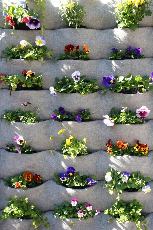 รูปภาพ:https://vitalandwell.files.wordpress.com/2011/11/living-wall-of-flowers-2.jpg