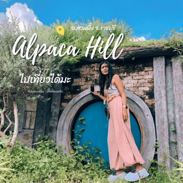 ภาพประกอบบทความ 🌲🦙 หญิงต้องทนลำบาก กับเส้นทาง Alpaca Hill 🌲🦙