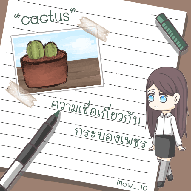 ตัวอย่าง ภาพหน้าปก:ความเชื่อเกี่ยวกับกระบองเพชร "Cactus"
