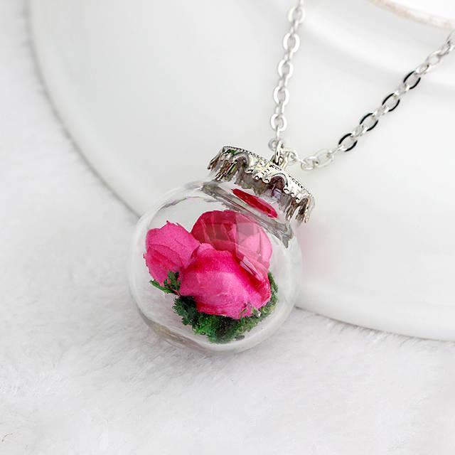 รูปภาพ:http://g02.a.alicdn.com/kf/HTB1C6zBJpXXXXXLXXXXq6xXFXXXB/Glass-Bottle-Pendant-necklace-Dry-flower-necklace-real-flower-necklace-silver-plated-chain-Necklace-for-women.jpg