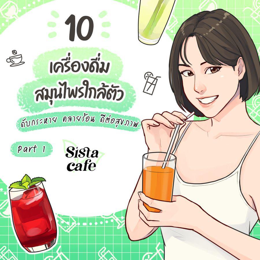 ภาพประกอบบทความ 10 เครื่องดื่มสมุนไพรใกล้ตัว ดับกระหาย คลายร้อน ดีต่อสุขภาพ Part 1