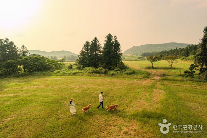 รูปภาพ:http://tong.visitkorea.or.kr/cms/resource/59/2731659_image2_1.jpg