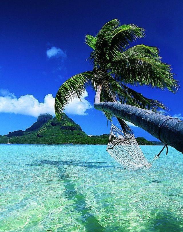 รูปภาพ:http://www.placesmustvisit.com/wp-content/uploads/2015/08/Bora-Bora-Tahiti.jpg